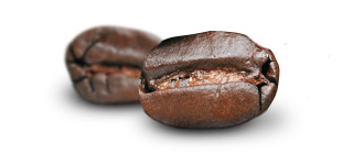 K&aacute;va Arabica