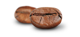 K&aacute;va Robusta