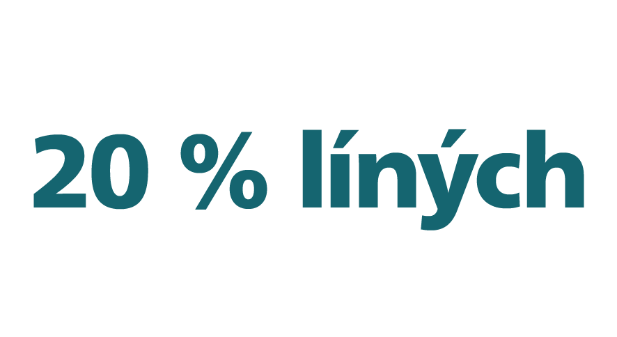 20 % l&iacute;n&yacute;ch